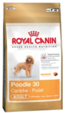 Royal Canin Mini Poodle